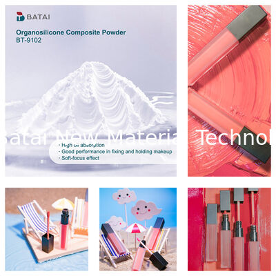 Güneş Kremi İçin Kozmetik Sınıfı Silikon Toz Vinil Dimetikon Methicone Silsesquioxane Crosspolymer